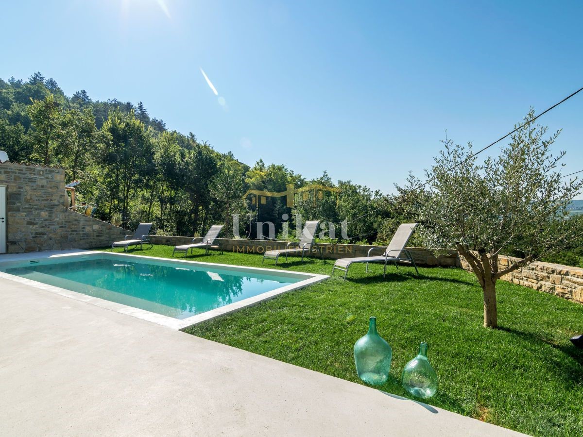 MOTOVUN
